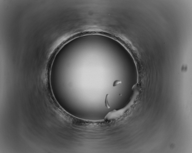 X0000098111167200804041337