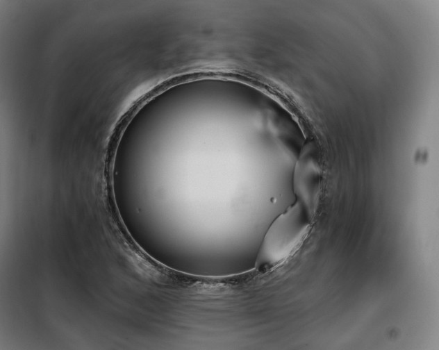 X0000098111168200804041337