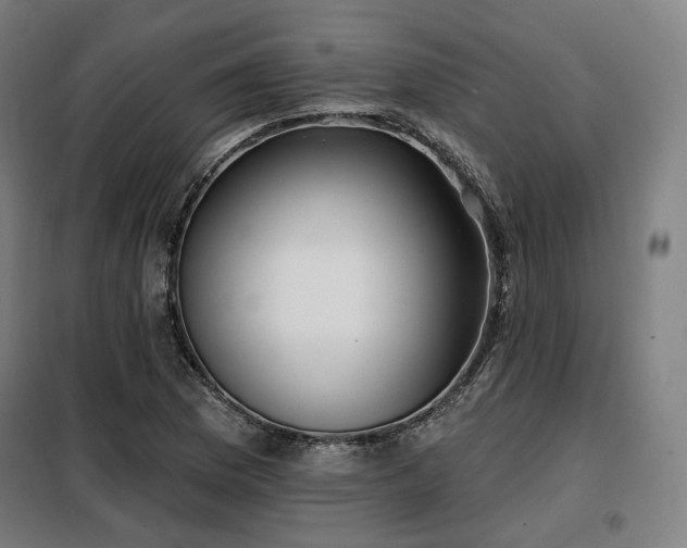 X0000098111169200804041337