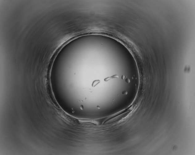 X0000098111170200804041337