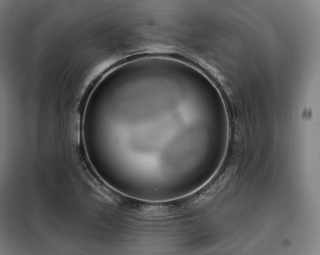 X0000098111171200804041337