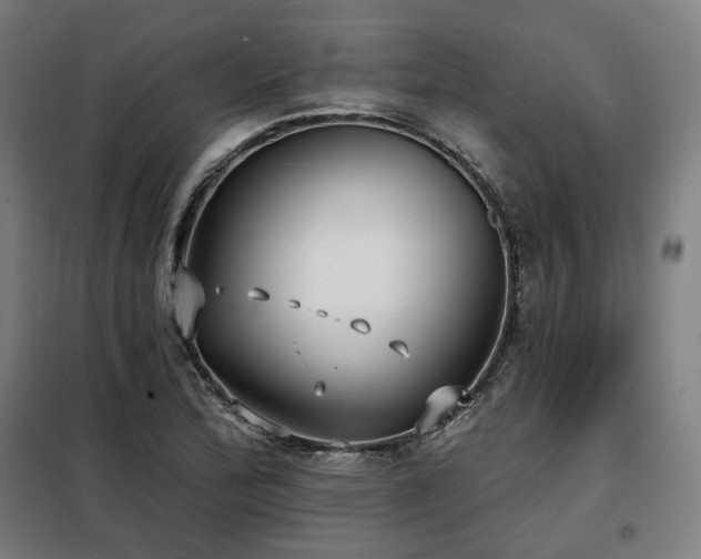 X0000098111172200804041336