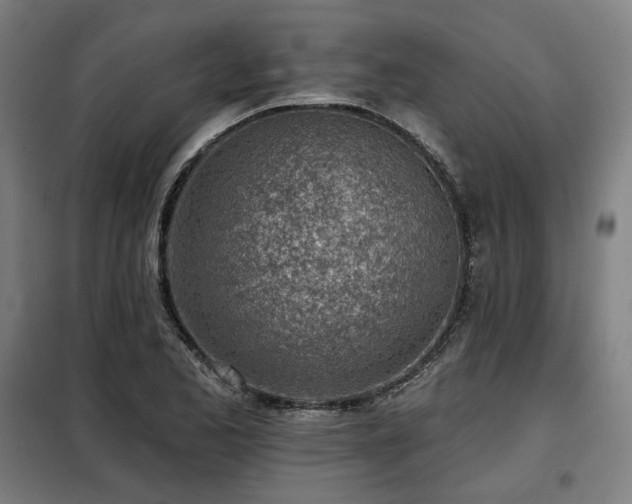 X0000098111173200804041336