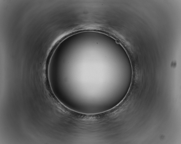 X0000098111174200804041336
