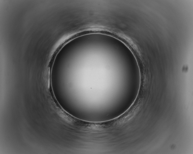 X0000098111175200804041336
