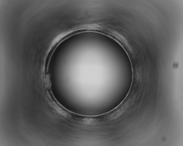 X0000098111176200804041336