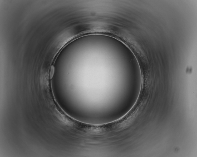 X0000098111177200804041336
