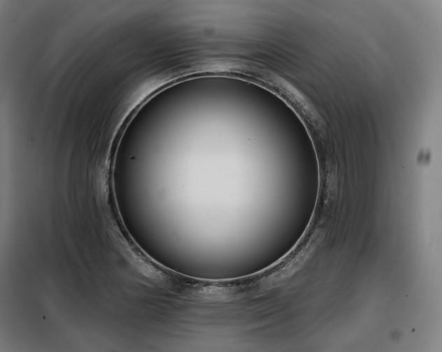 X0000098111178200804041336