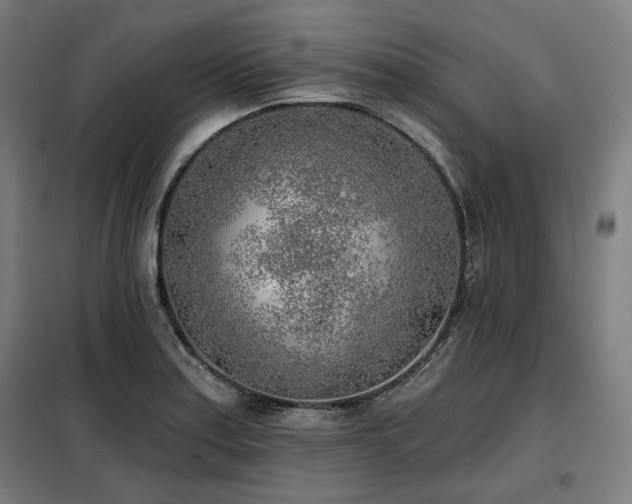 X0000098111179200804041336