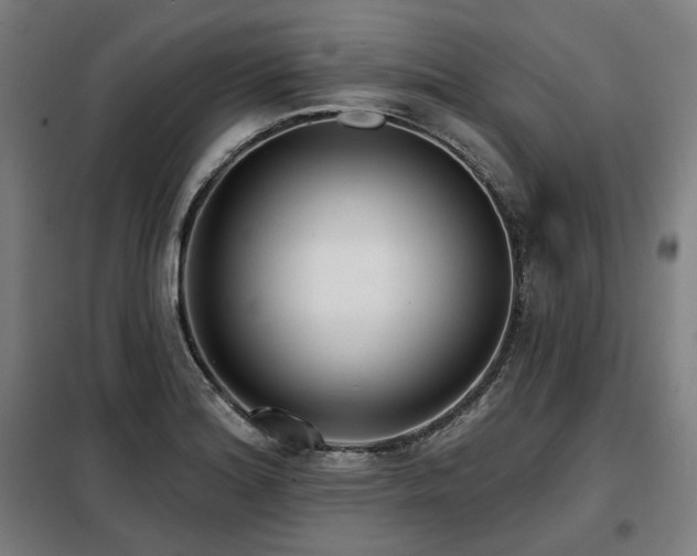 X0000098111180200804041336