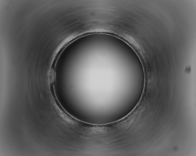 X0000098111181200804041336