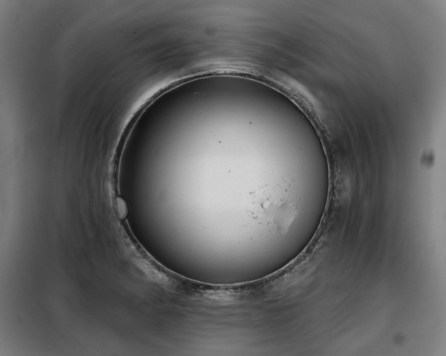 X0000098111182200804041336