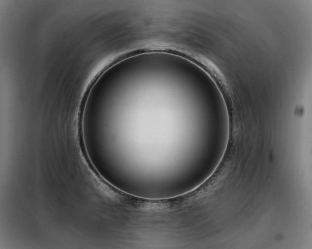 X0000098111183200804041336
