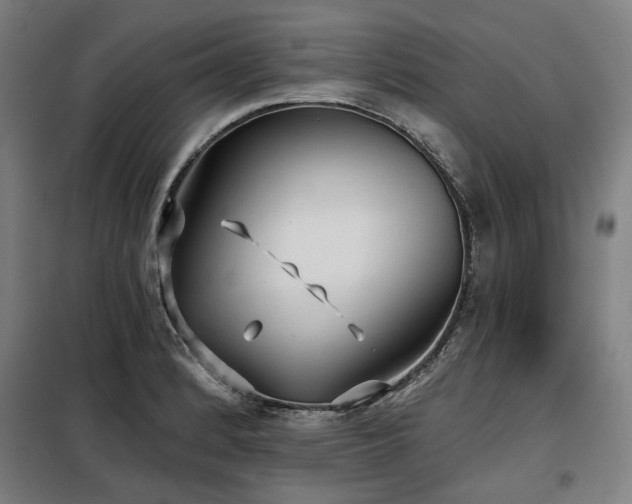X0000098111184200804041336