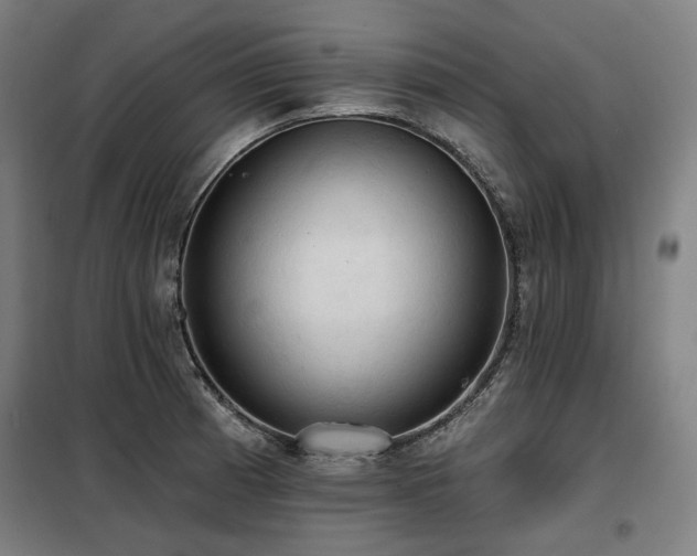 X0000098111185200804041336