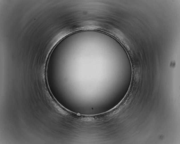 X0000098111186200804041336