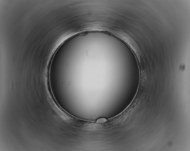 X0000098111187200804041336
