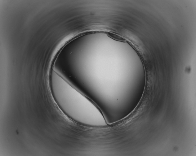 X0000098111188200804041336