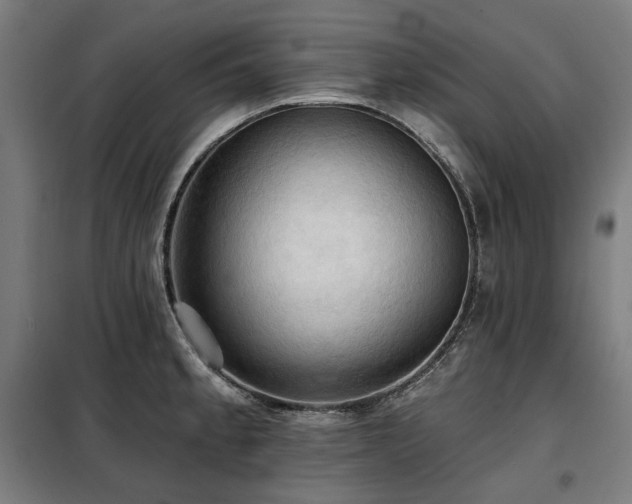 X0000098111189200804041336