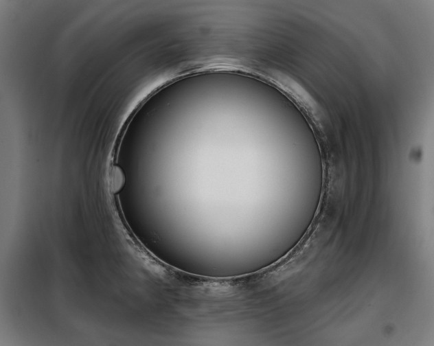 X0000098111190200804041336