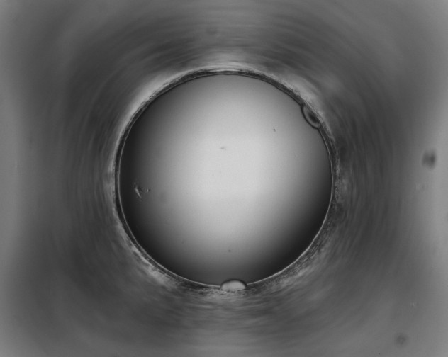 X0000098111191200804041336