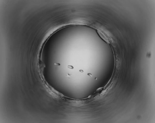 X0000098111192200804041336