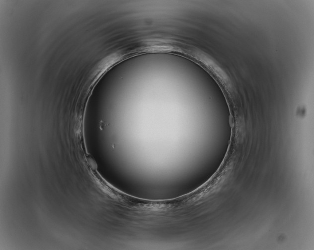 X0000098111193200804041336