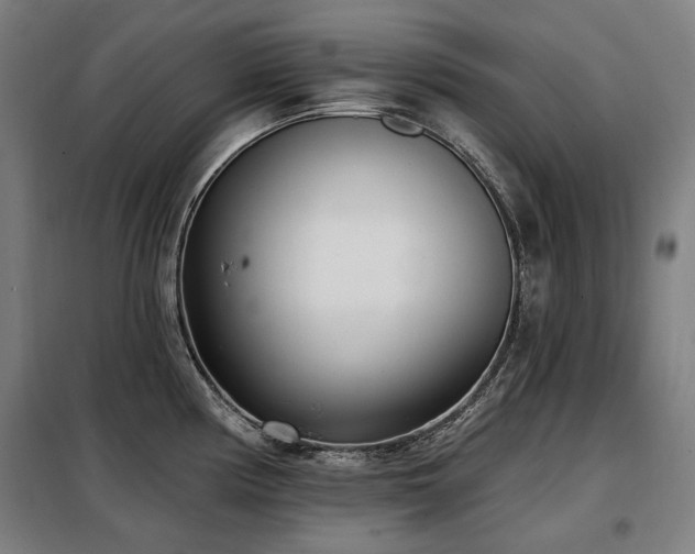 X0000098111194200804041336