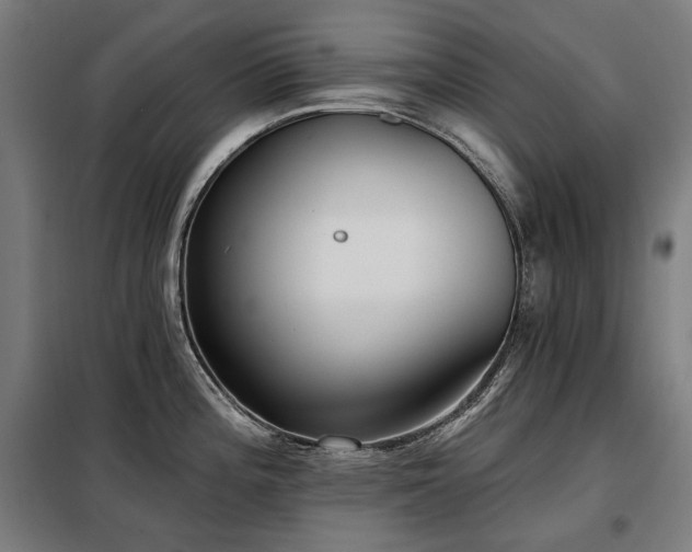 X0000098111196200804041336