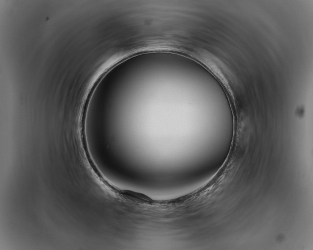 X0000098111197200804041336