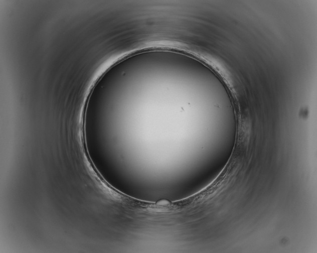 X0000098111199200804041336