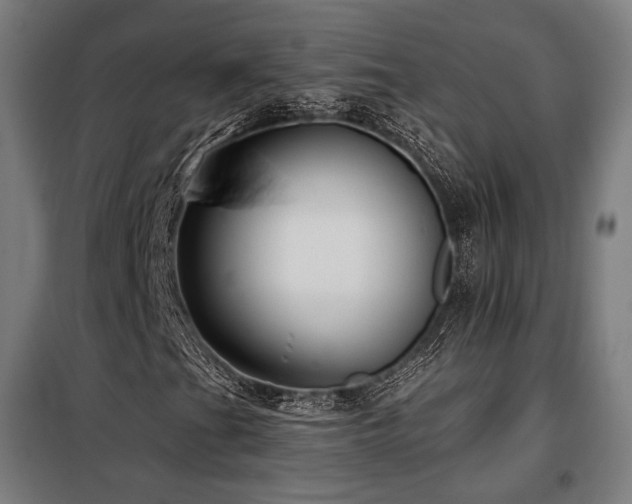 X0000098111201200804041335