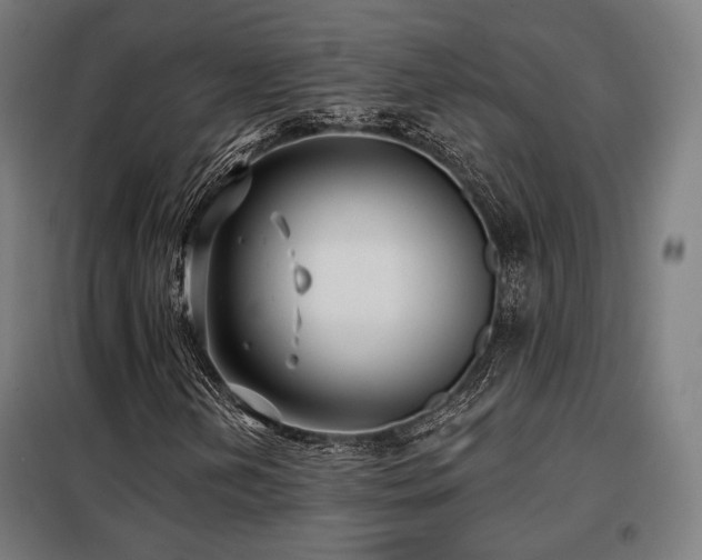 X0000098111202200804041335