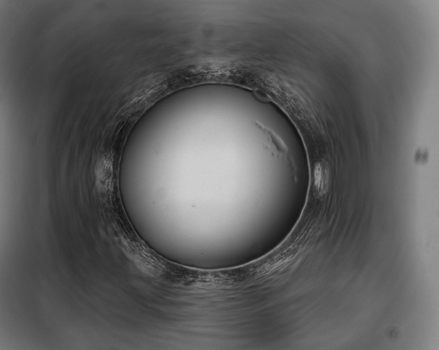 X0000098111203200804041335
