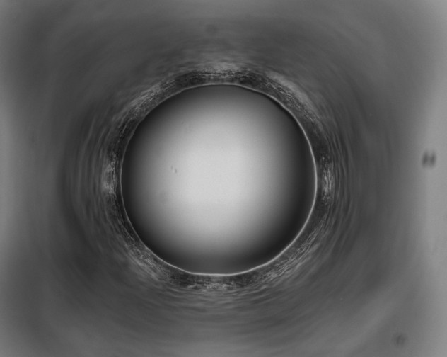 X0000098111204200804041335