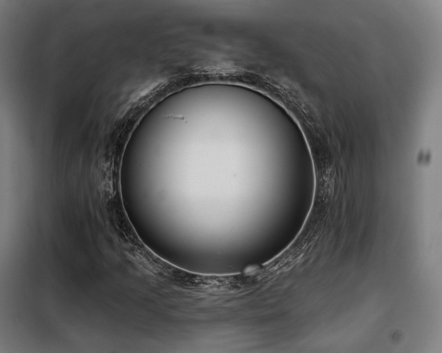 X0000098111205200804041335