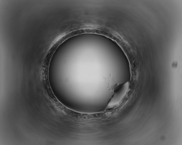 X0000098111208200804041335