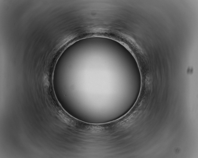 X0000098111209200804041336