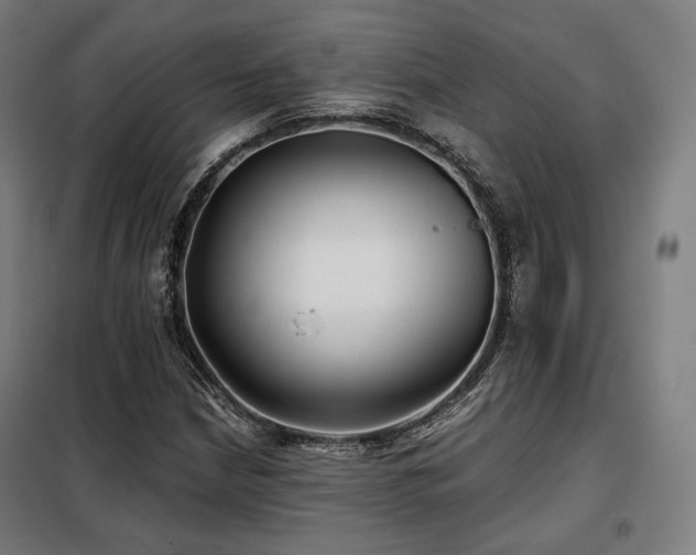 X0000098111210200804041336