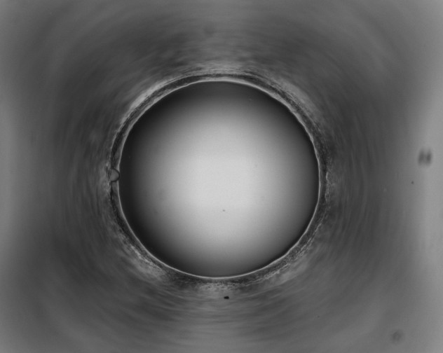 X0000098111212200804041336