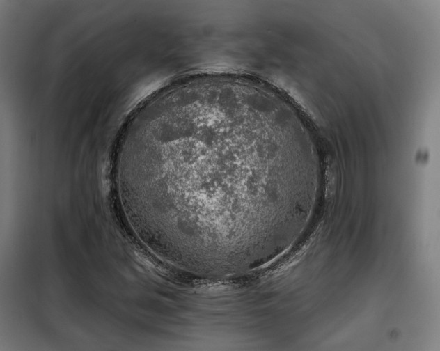 X0000098111213200804041336