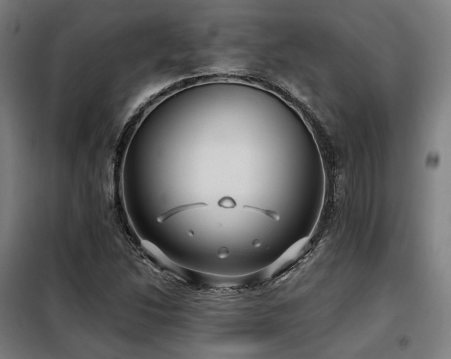 X0000098111214200804041336