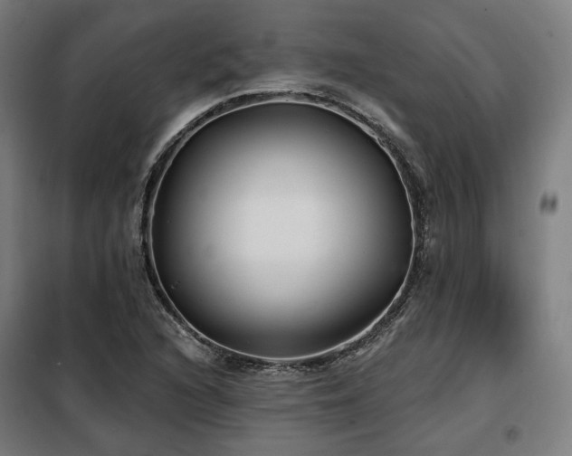 X0000098111216200804041336