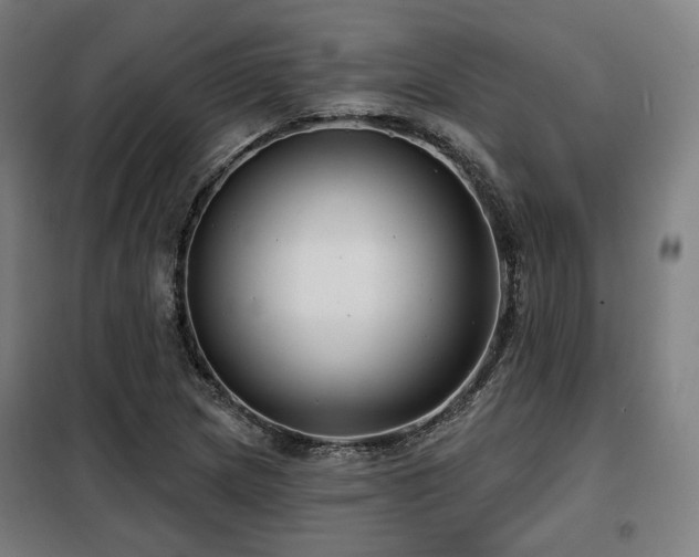 X0000098111217200804041336