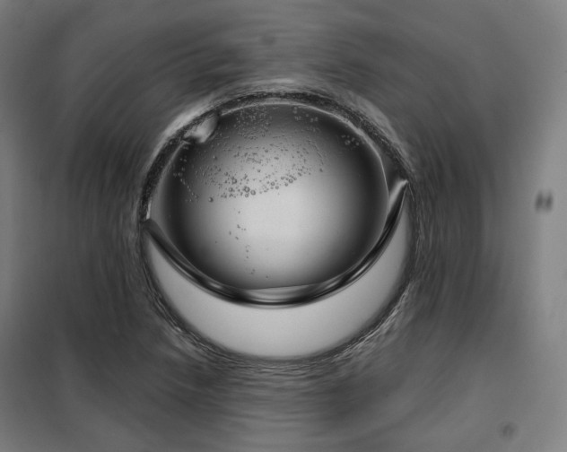 X0000098111218200804041336