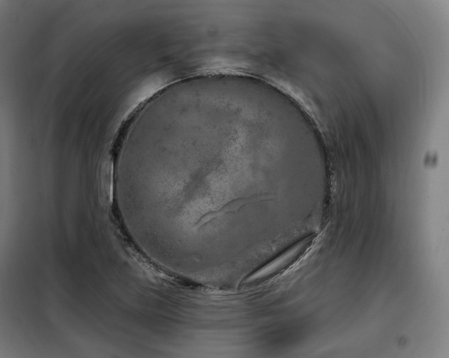 X0000098111219200804041336