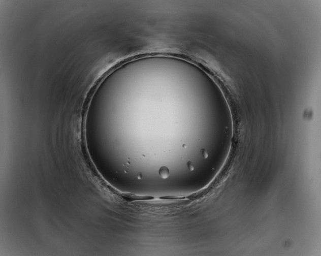 X0000098111220200804041336
