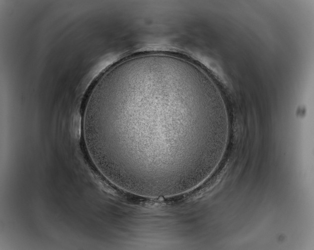 X0000098111221200804041336
