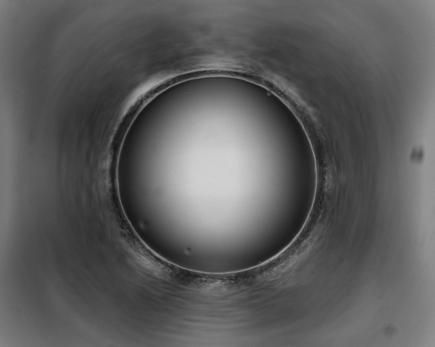 X0000098111222200804041336