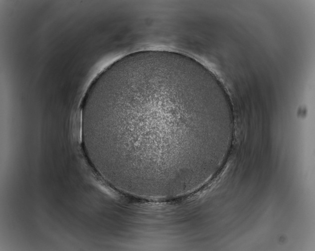 X0000098111223200804041336